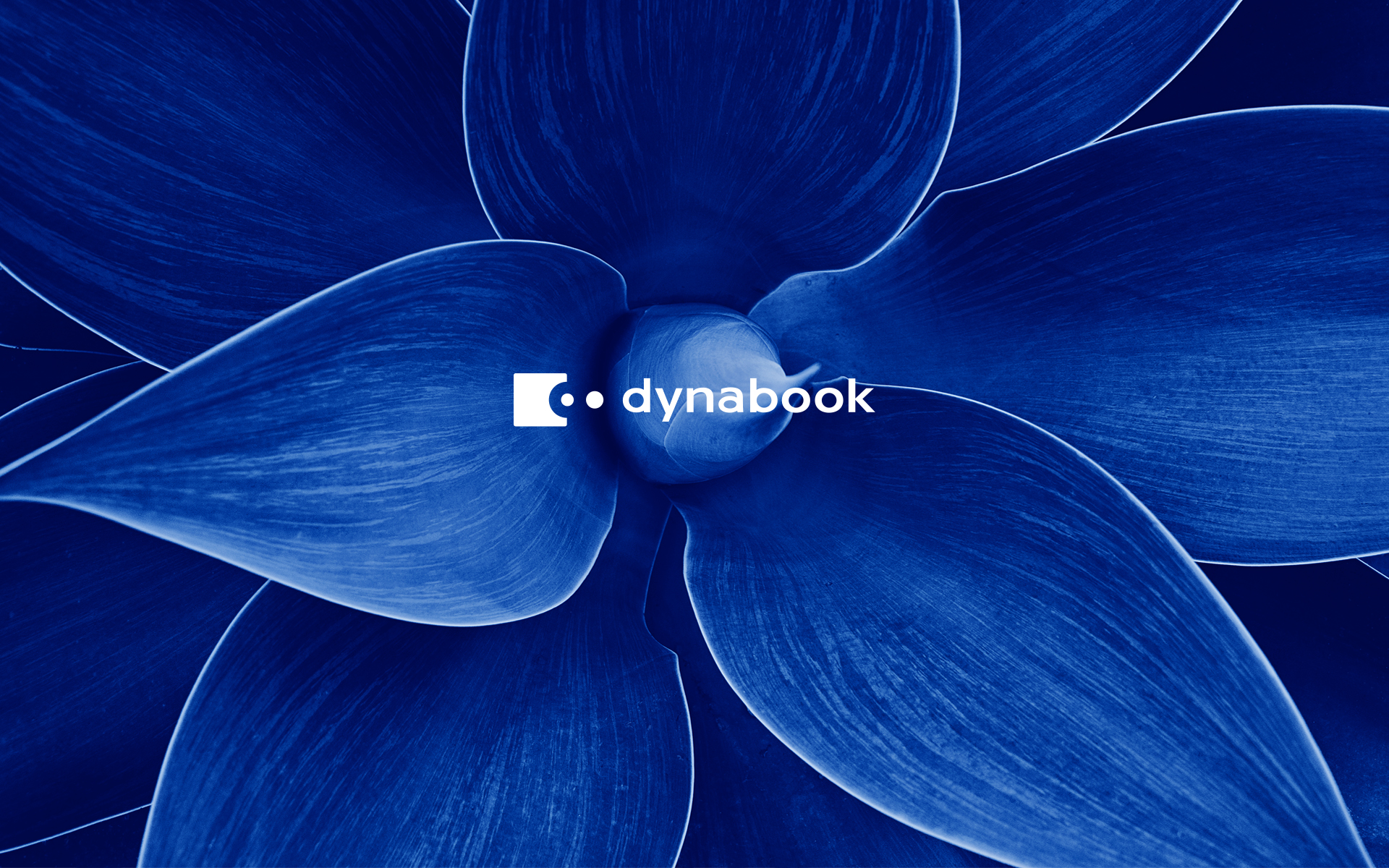 株式会社Ena 公式ウェブサイト